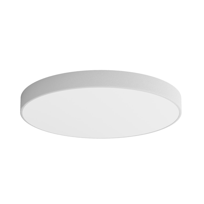 LED Plafonjera CLEO LED/96W/230V 3000K pr. 80 cm sivo