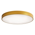 LED Plafonjera CLEO LED/96W/230V 3000K pr. 80 cm zlatna