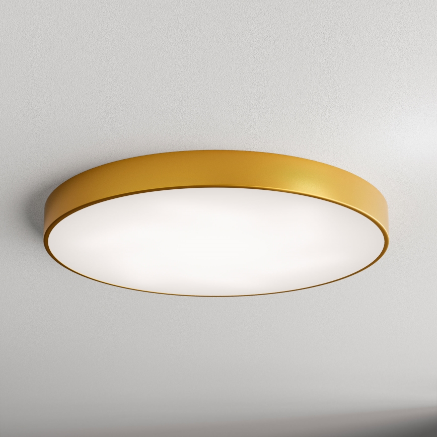 LED Plafonjera CLEO LED/96W/230V 3000K pr. 80 cm zlatna