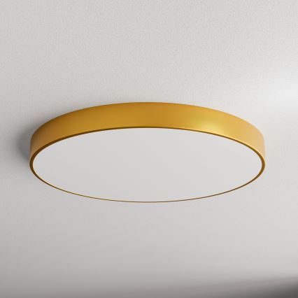 LED Plafonjera CLEO LED/96W/230V 3000K pr. 80 cm zlatna