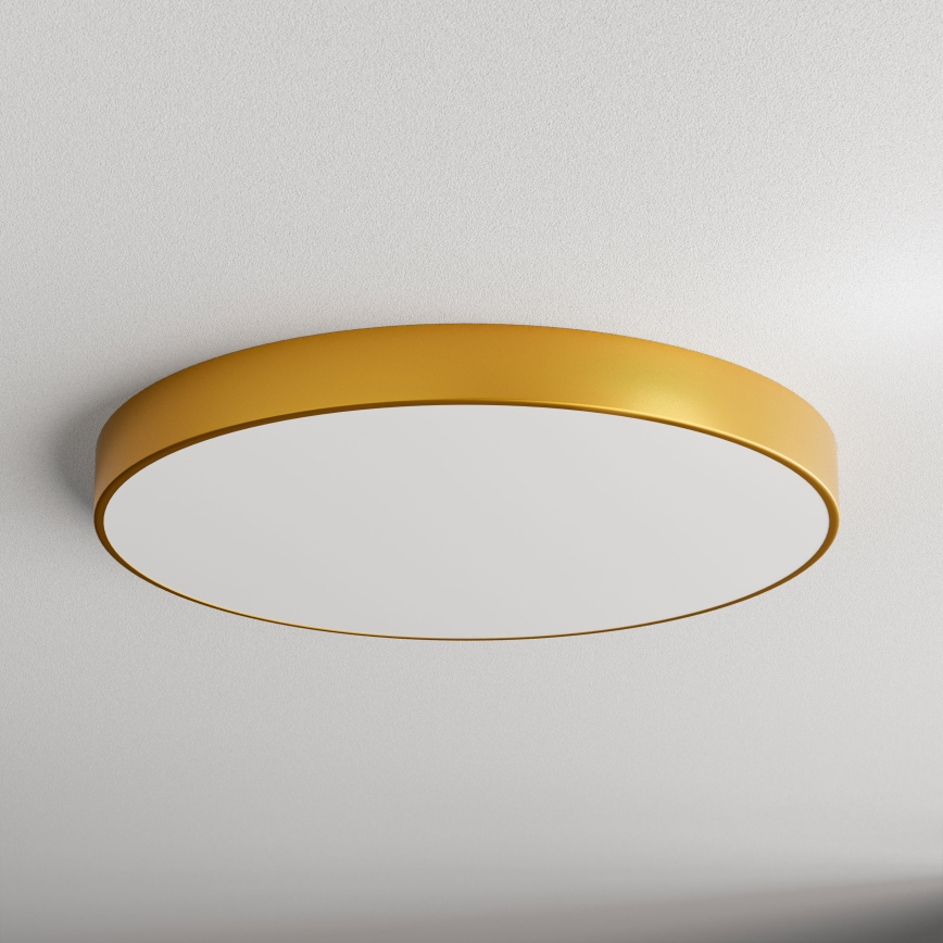 LED Plafonjera CLEO LED/96W/230V 3000K pr. 80 cm zlatna