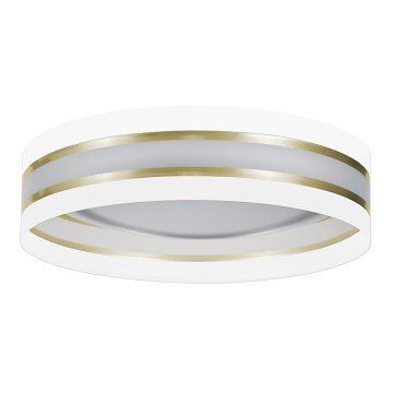 LED Plafonjera CORAL GOLD 1xLED/24W/230V bela/zlatna