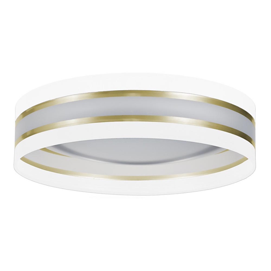 LED Plafonjera CORAL GOLD 1xLED/24W/230V bela/zlatna