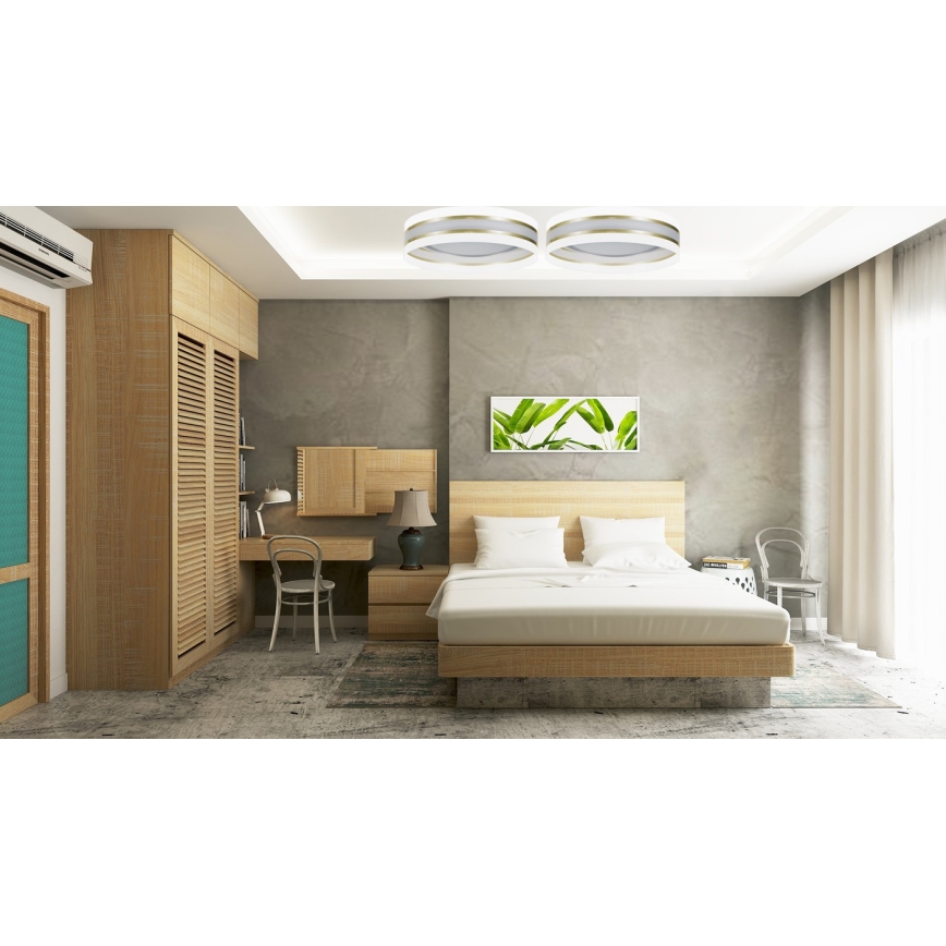 LED Plafonjera CORAL GOLD 1xLED/24W/230V bela/zlatna