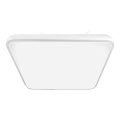 LED Plafonjera FABIO LED/23W/230V bela