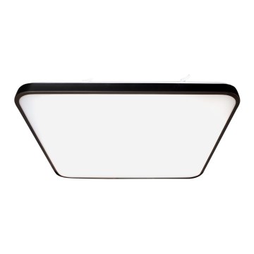 LED Plafonjera FABIO LED/35W/230V crno