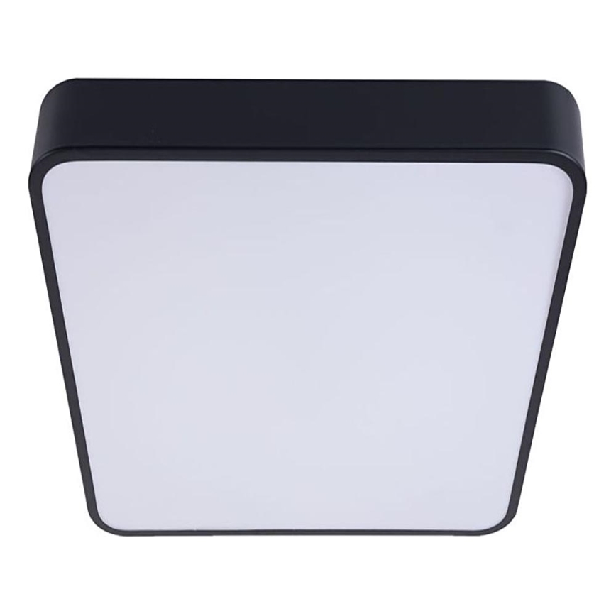 LED Plafonjera FELIZ LED/50W/230V 4000K 40x60 cm crno