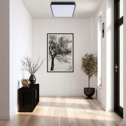 LED Plafonjera FELIZ LED/50W/230V 4000K 40x60 cm crno
