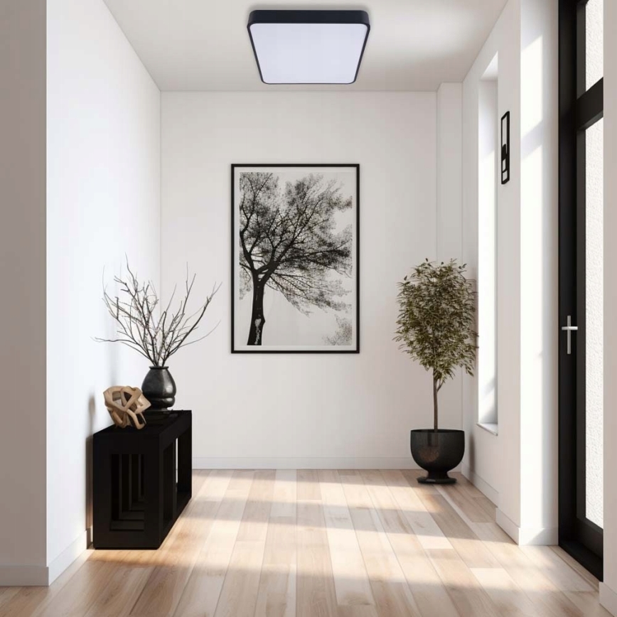 LED Plafonjera FELIZ LED/50W/230V 4000K 40x60 cm crno