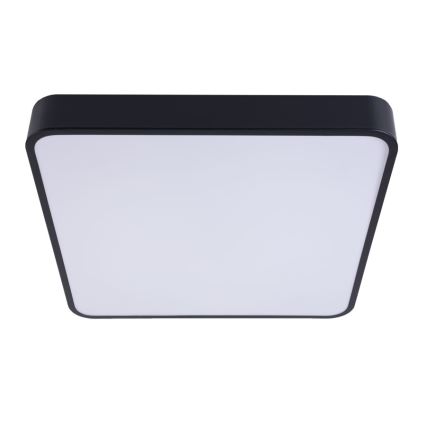 LED Plafonjera FELIZ LED/50W/230V 4000K 40x60 cm crno