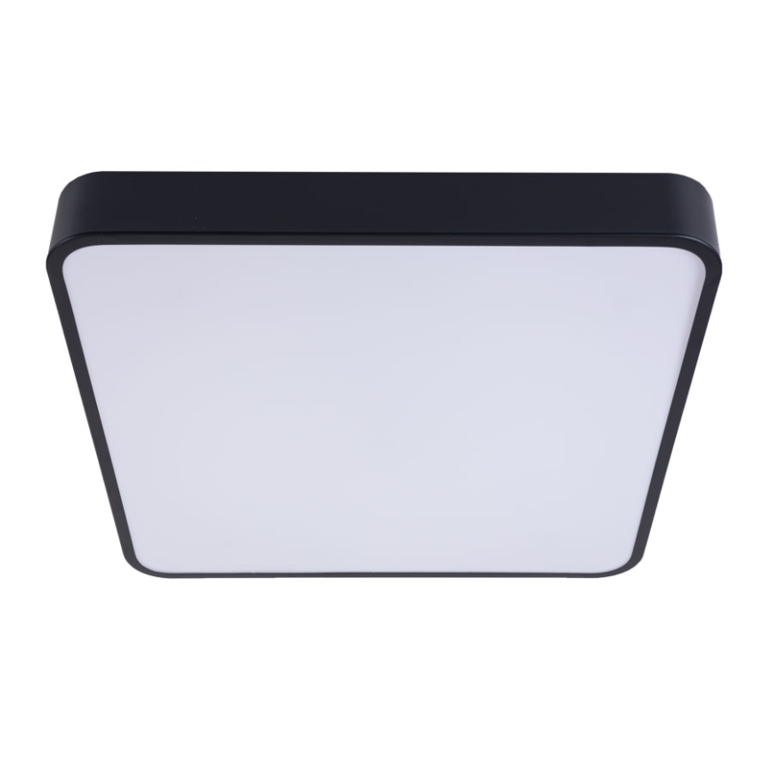 LED Plafonjera FELIZ LED/50W/230V 4000K 40x60 cm crno