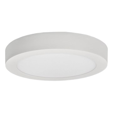 LED Plafonjera FENIX LED/12W/230V 2800K pr. 17 cm