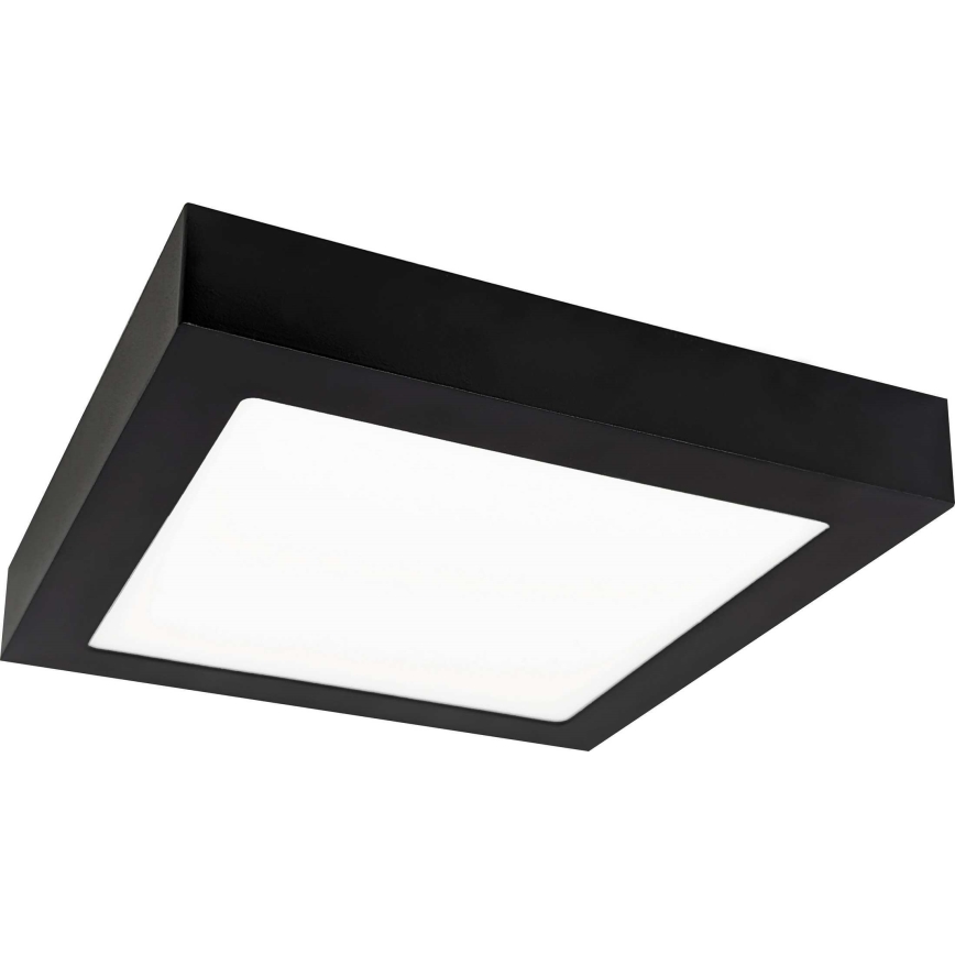 LED Plafonjera FENIX LED/12W/230V 3800K 17 cm