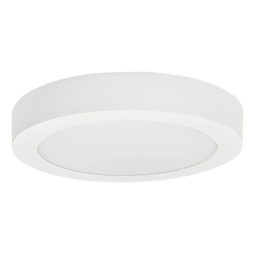 LED Plafonjera FENIX LED/12W/230V 3800K pr. 17 cm snežno bela