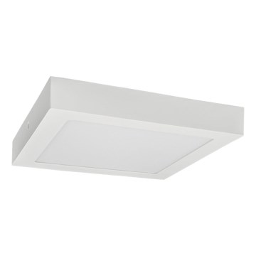 LED Plafonjera FENIX LED/24W/230V 3800K 29,8 cm
