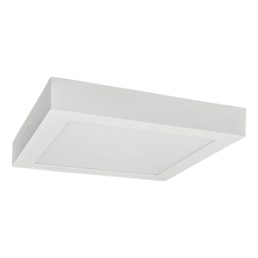 LED Plafonjera FENIX LED/24W/230V 3800K 29,8 cm