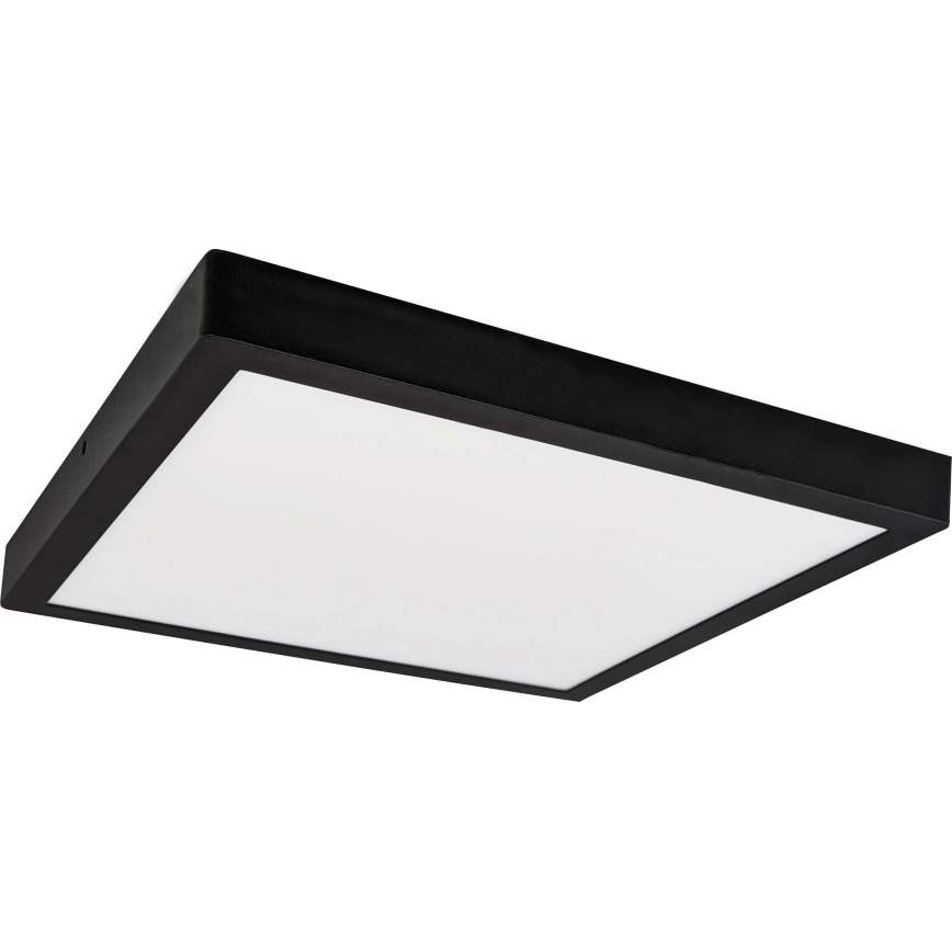 LED Plafonjera FENIX LED/24W/230V 3800K 29,8 cm