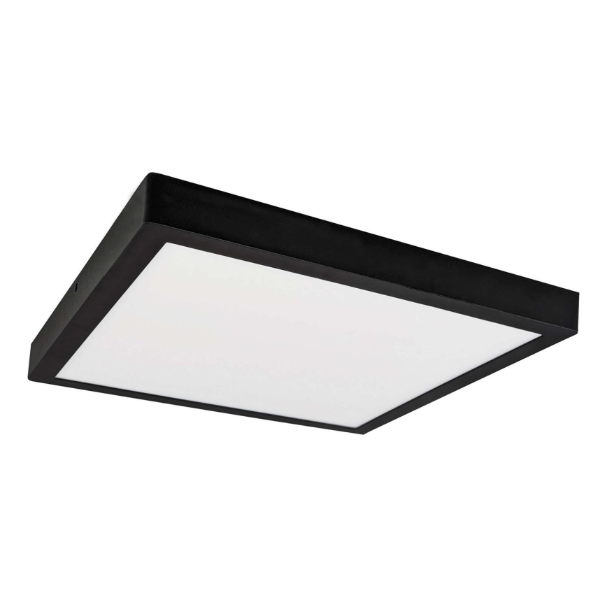 LED Plafonjera FENIX LED/24W/230V 3800K 29,8 cm