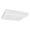LED Plafonjera FENIX LED/24W/230V 3800K 29,8 cm snežno bela