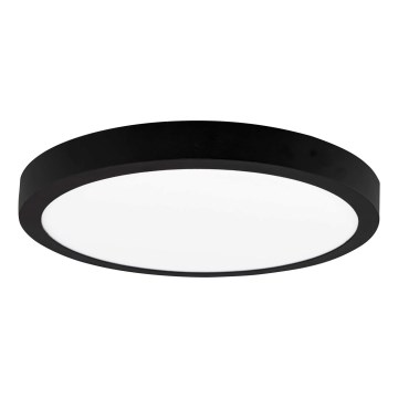 LED Plafonjera FENIX LED/24W/230V 3800K pr. 29,8 cm