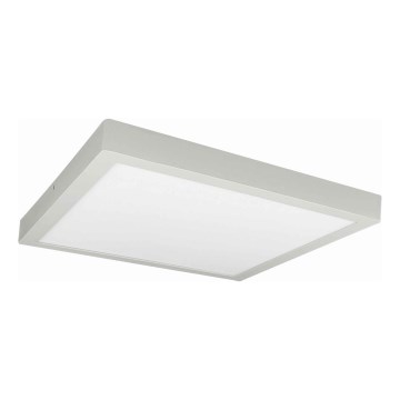 LED Plafonjera FENIX LED/32W/230V 3800K 40 cm bela