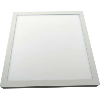 LED Plafonjera FENIX LED/32W/230V 3800K 40 cm bela
