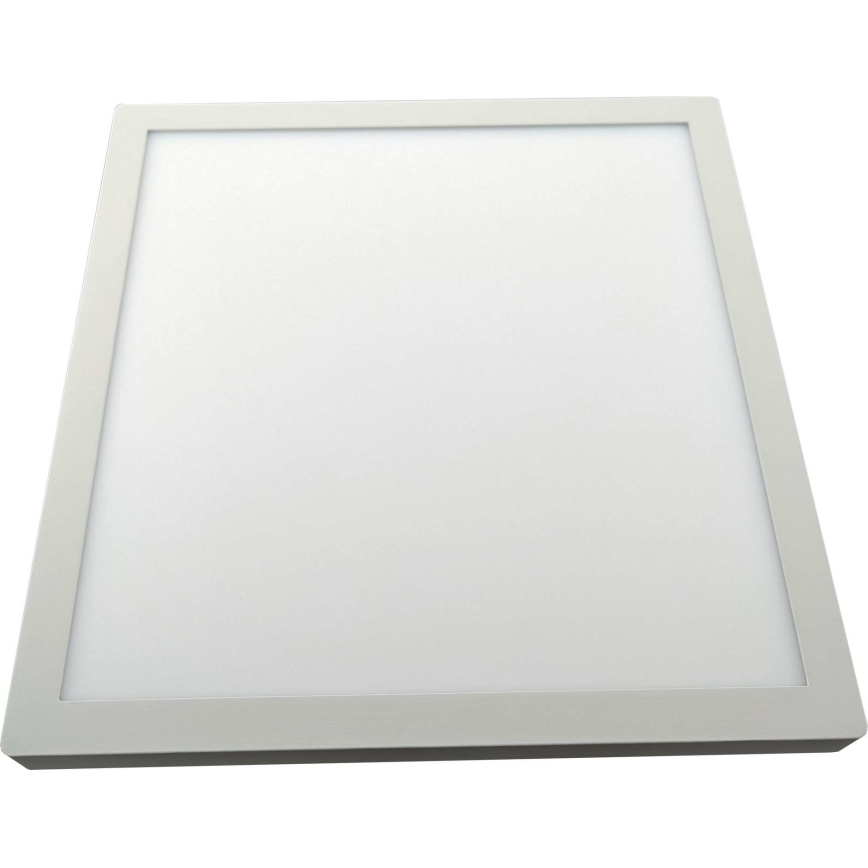 LED Plafonjera FENIX LED/32W/230V 3800K 40 cm bela