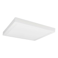 LED Plafonjera FENIX LED/32W/230V 3800K 40 cm snežno bela