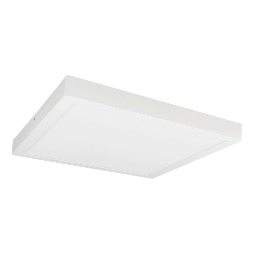 LED Plafonjera FENIX LED/32W/230V 3800K 40 cm snežno bela