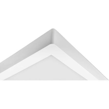 LED Plafonjera FENIX LED/32W/230V 3800K 40 cm snežno bela