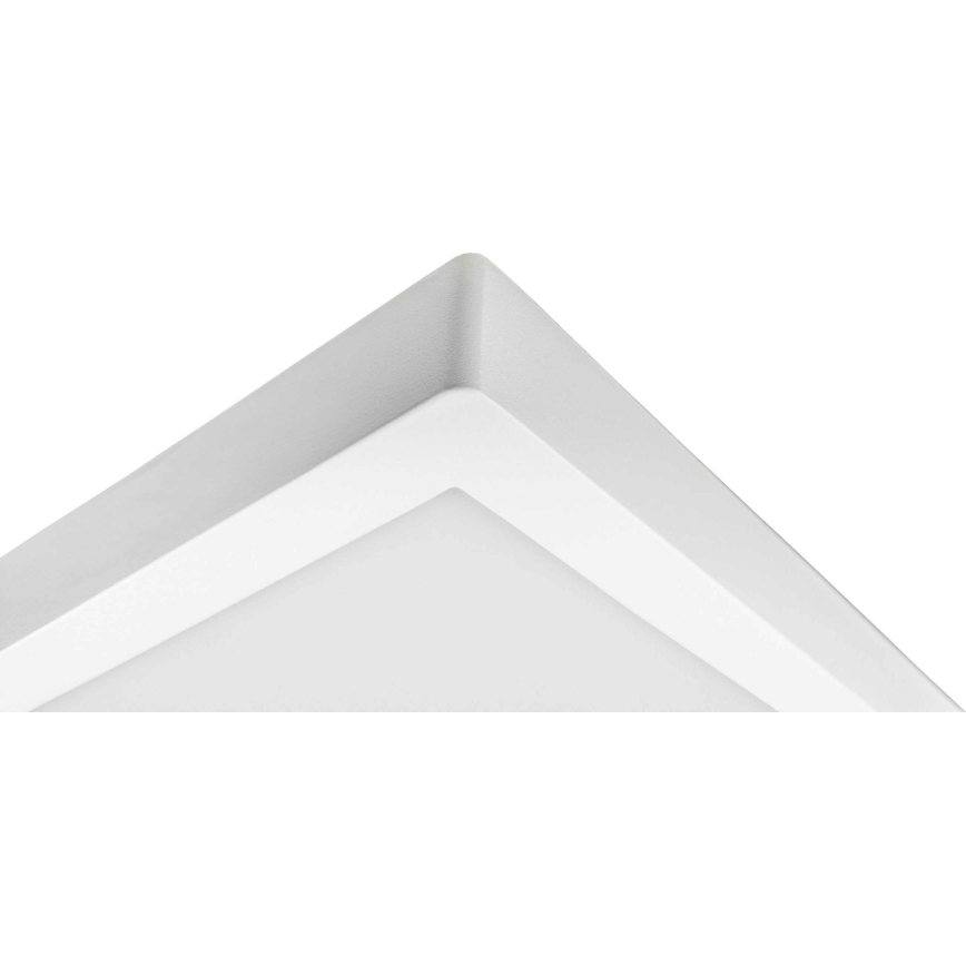 LED Plafonjera FENIX LED/32W/230V 3800K 40 cm snežno bela