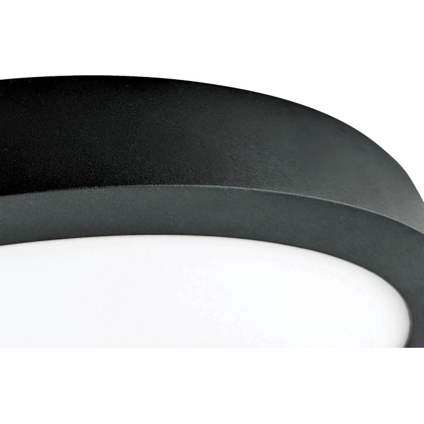 LED Plafonjera FENIX LED/32W/230V 3800K pr. 40 cm