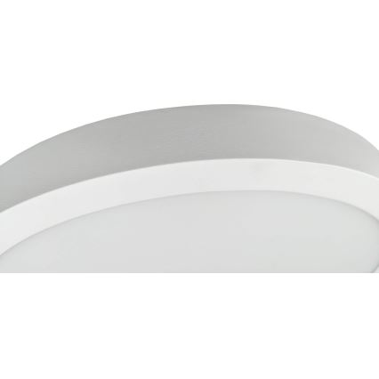 LED Plafonjera FENIX LED/32W/230V 3800K pr. 40 cm snežno bela