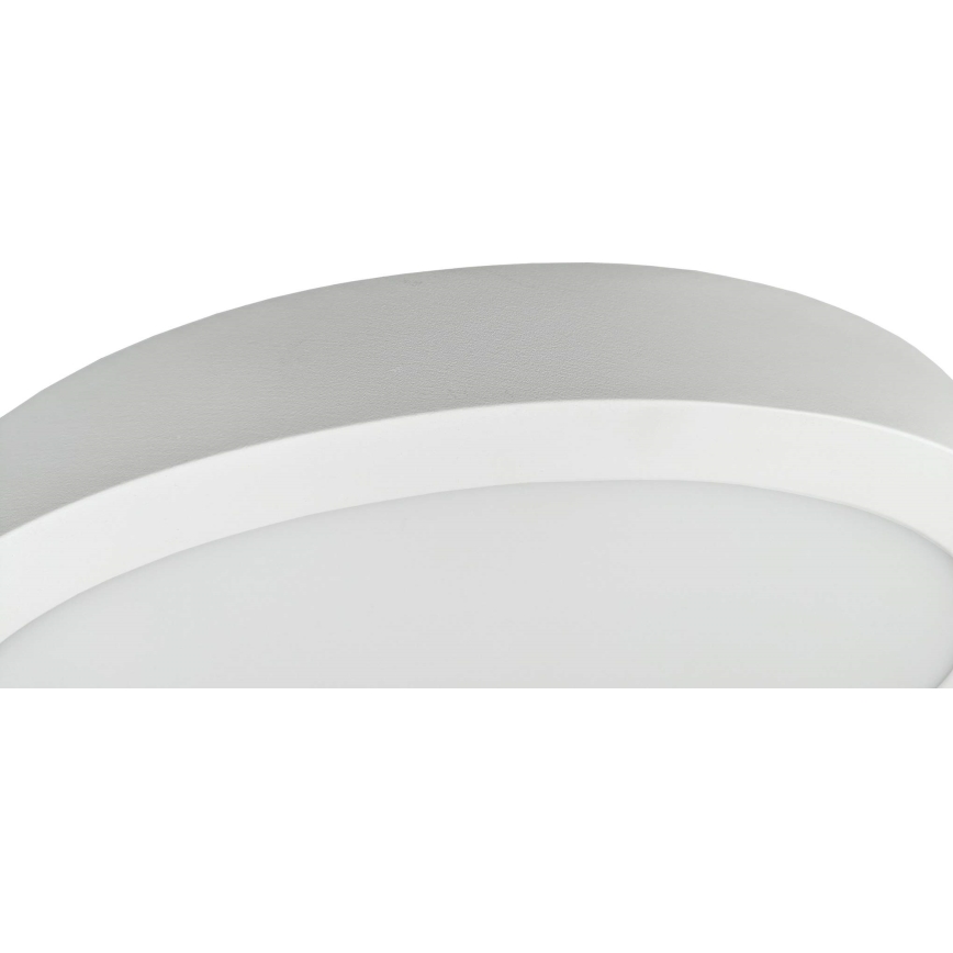 LED Plafonjera FENIX LED/32W/230V 3800K pr. 40 cm snežno bela