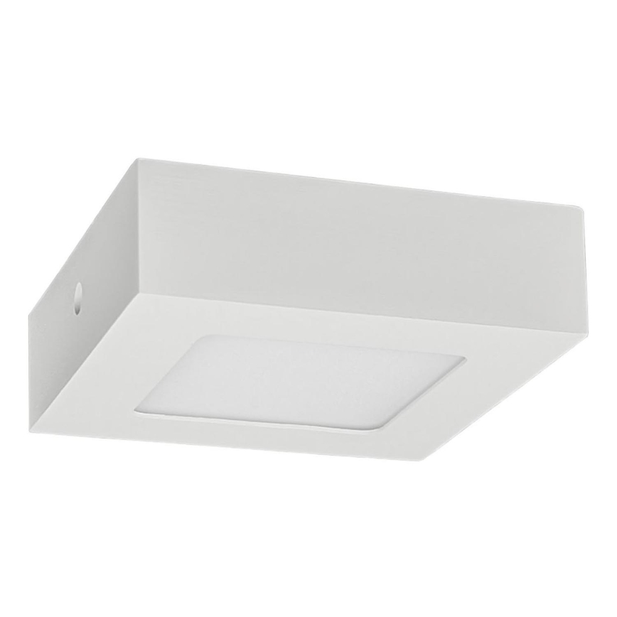 LED Plafonjera FENIX LED/6W/230V 3800K 12 cm