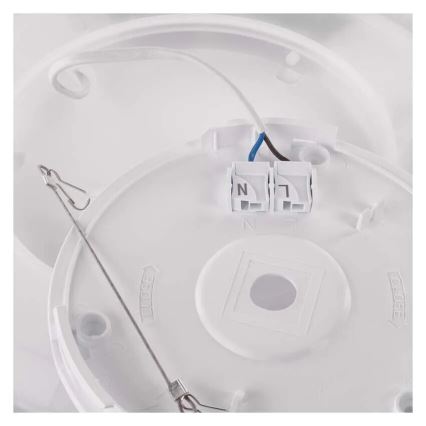 LED Plafonjera FLORI LED/18W/230V 4000K crno pr. 29 cm