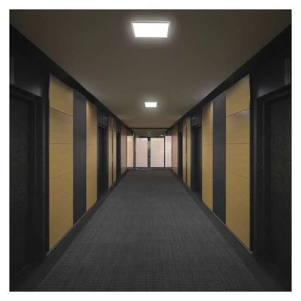 LED Plafonjera FLORI LED/22W/230V 4000K bela 42x42 cm