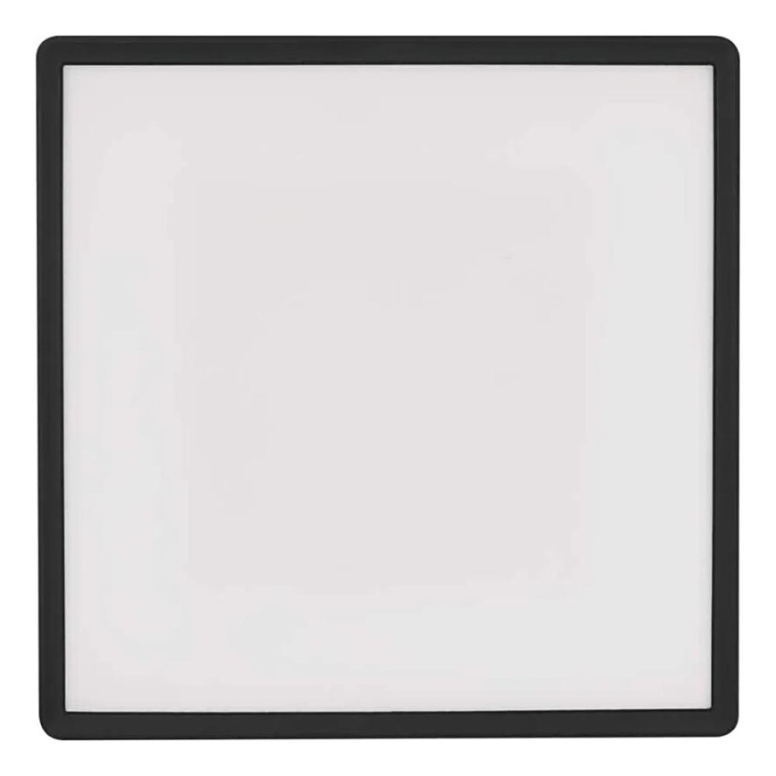 LED Plafonjera FLORI LED/22W/230V 4000K crno 42x42 cm