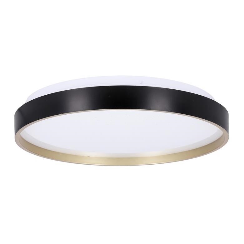 LED Plafonjera FLORIDA LED/18W/230V crno
