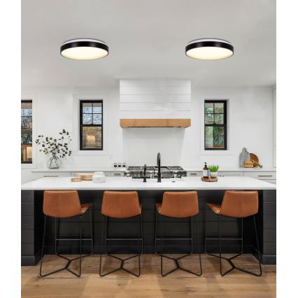 LED Plafonjera FLORIDA LED/18W/230V crno