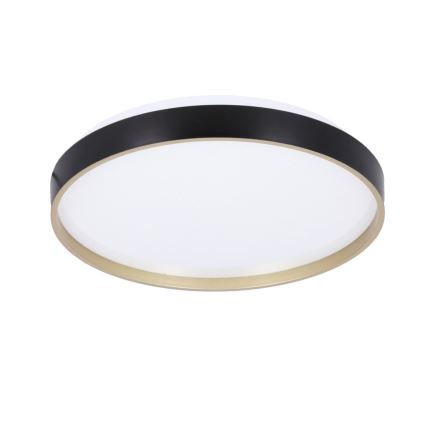 LED Plafonjera FLORIDA LED/18W/230V crno