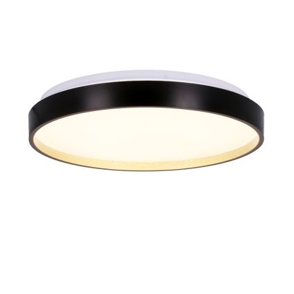 LED Plafonjera FLORIDA LED/18W/230V crno