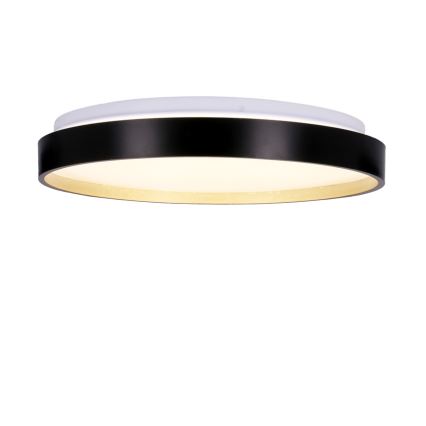 LED Plafonjera FLORIDA LED/18W/230V crno