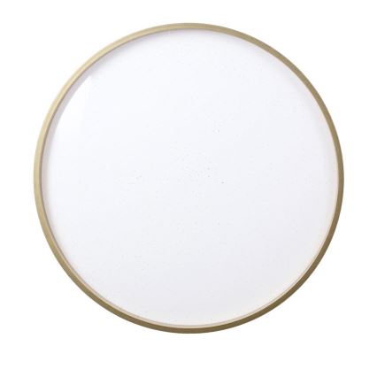 LED Plafonjera FLORIDA LED/18W/230V crno