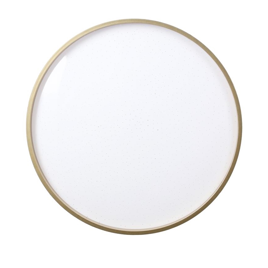 LED Plafonjera FLORIDA LED/18W/230V crno