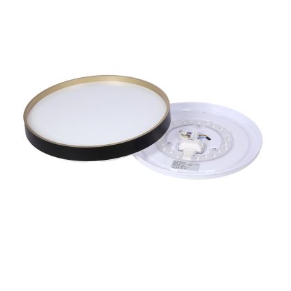 LED Plafonjera FLORIDA LED/18W/230V crno