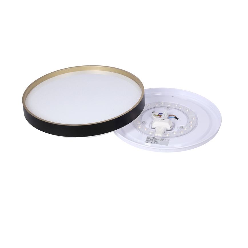 LED Plafonjera FLORIDA LED/18W/230V crno