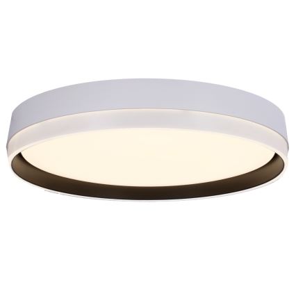 LED Plafonjera FLORIDA LED/24W/230V bela