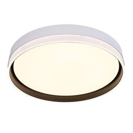 LED Plafonjera FLORIDA LED/24W/230V bela