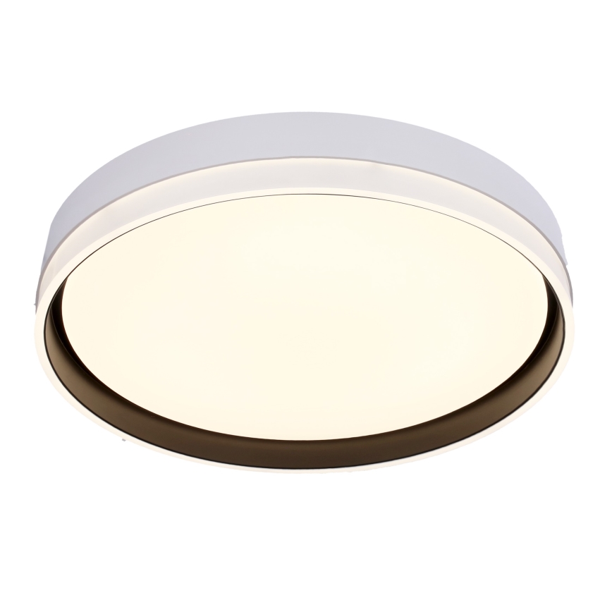 LED Plafonjera FLORIDA LED/24W/230V bela
